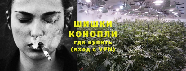 молекула духа Магас