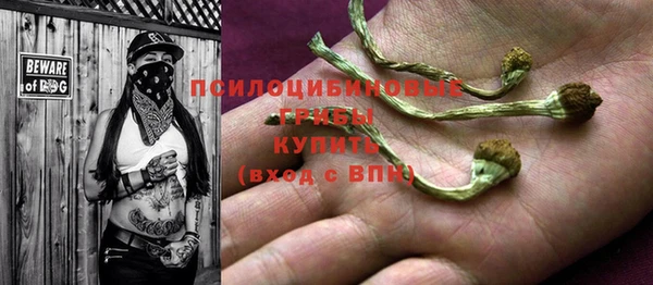 спиды Майский